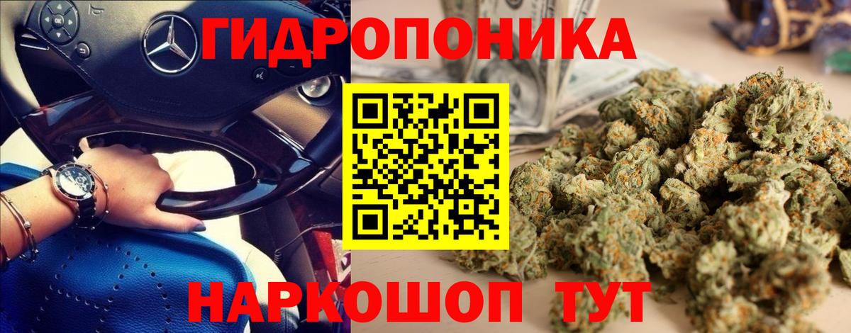 Каннабис White Widow Канаш